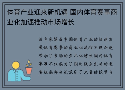 体育产业迎来新机遇 国内体育赛事商业化加速推动市场增长