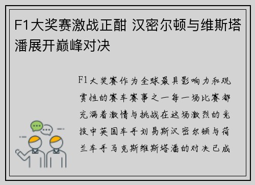 F1大奖赛激战正酣 汉密尔顿与维斯塔潘展开巅峰对决 F1大奖赛激战正酣 汉密尔顿与维斯塔潘展开巅峰对决