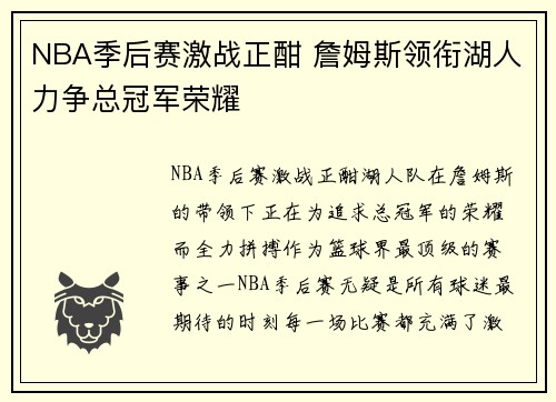 NBA季后赛激战正酣 詹姆斯领衔湖人力争总冠军荣耀